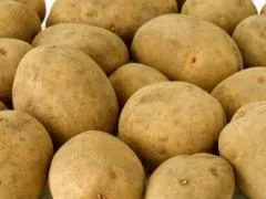 фотография продукта Семенной картофель в Новосибирске