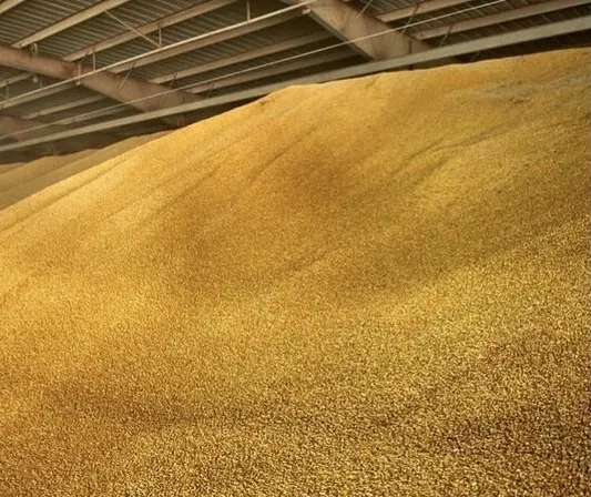 хПП закупает пшеницу 3,4,5 класс, ячмень в Новосибирске